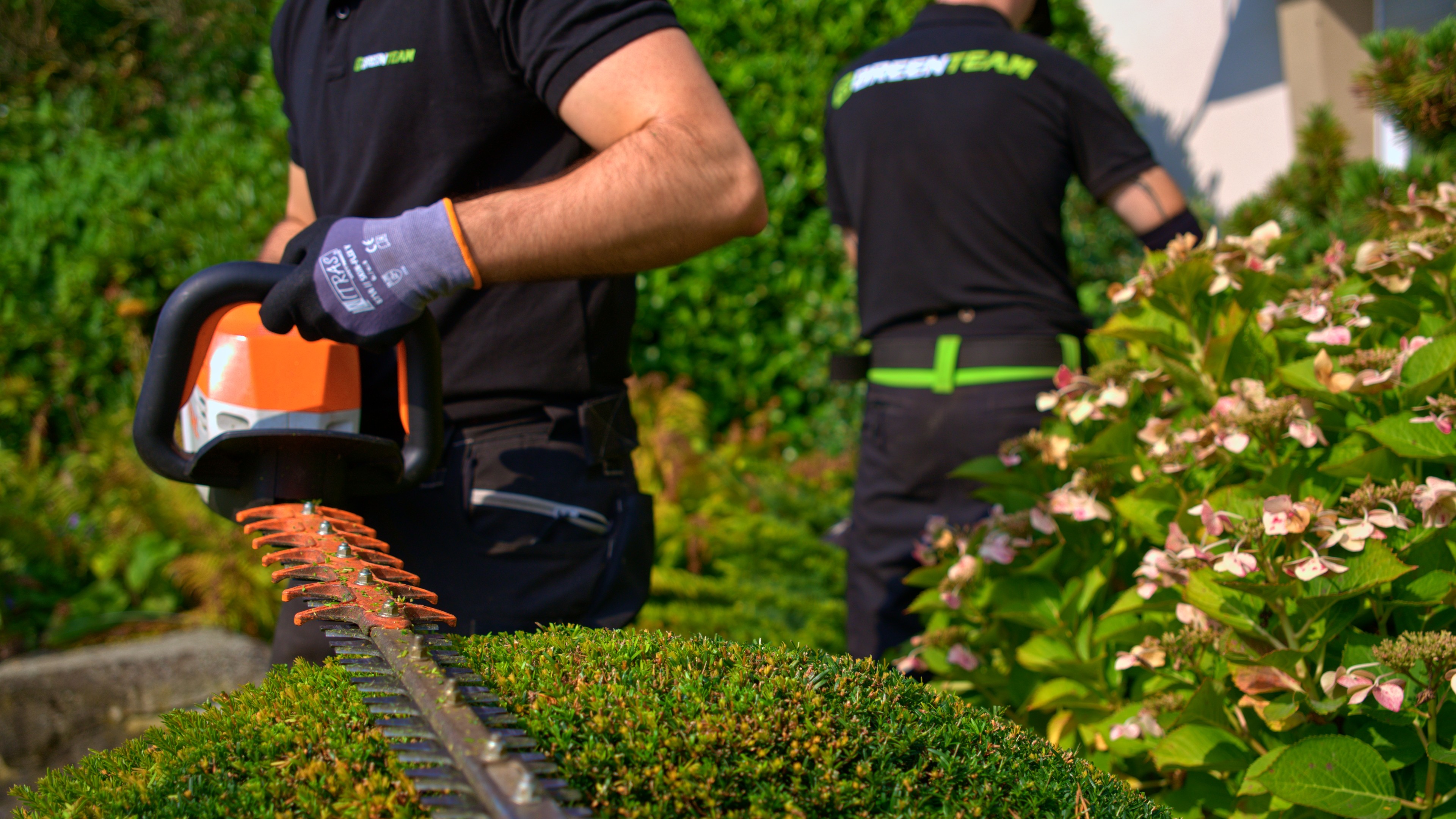 Gärtner mit Heckenschere