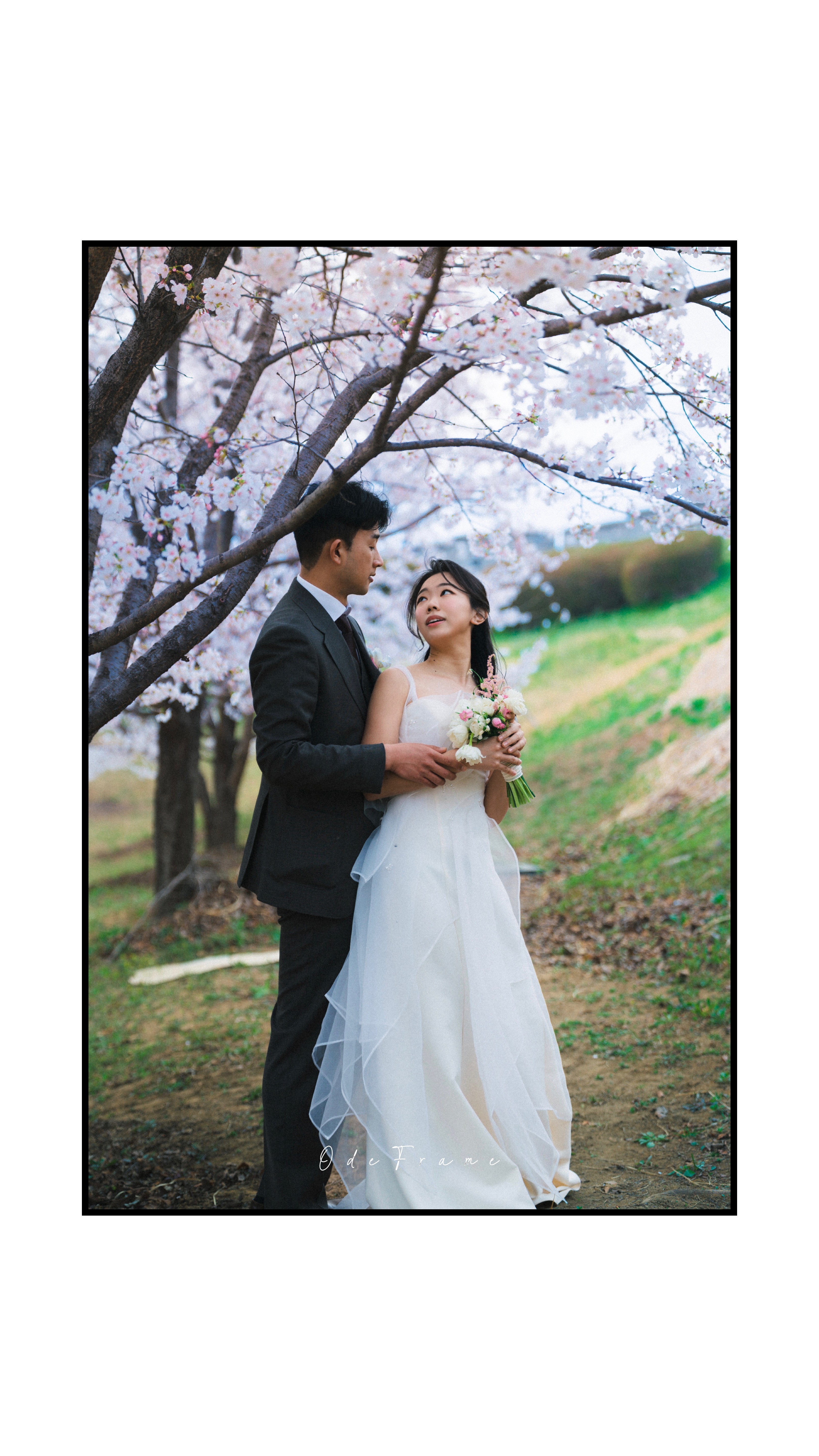 Photograph title Copy Copy Copy Copy Copy Copy Copy Copy Copy Copy