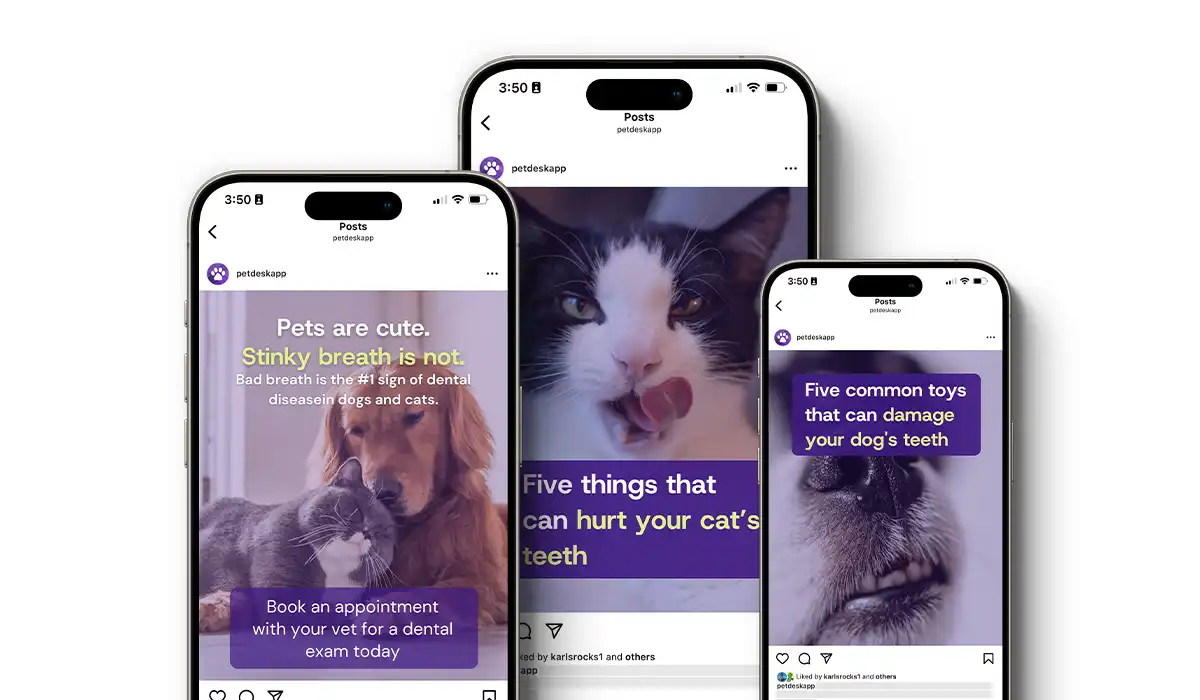 Pet Dental Month Social Posts