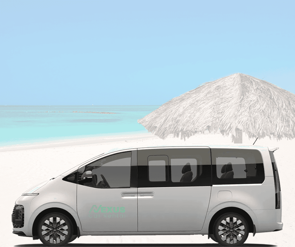 palm trees on beach during daytime