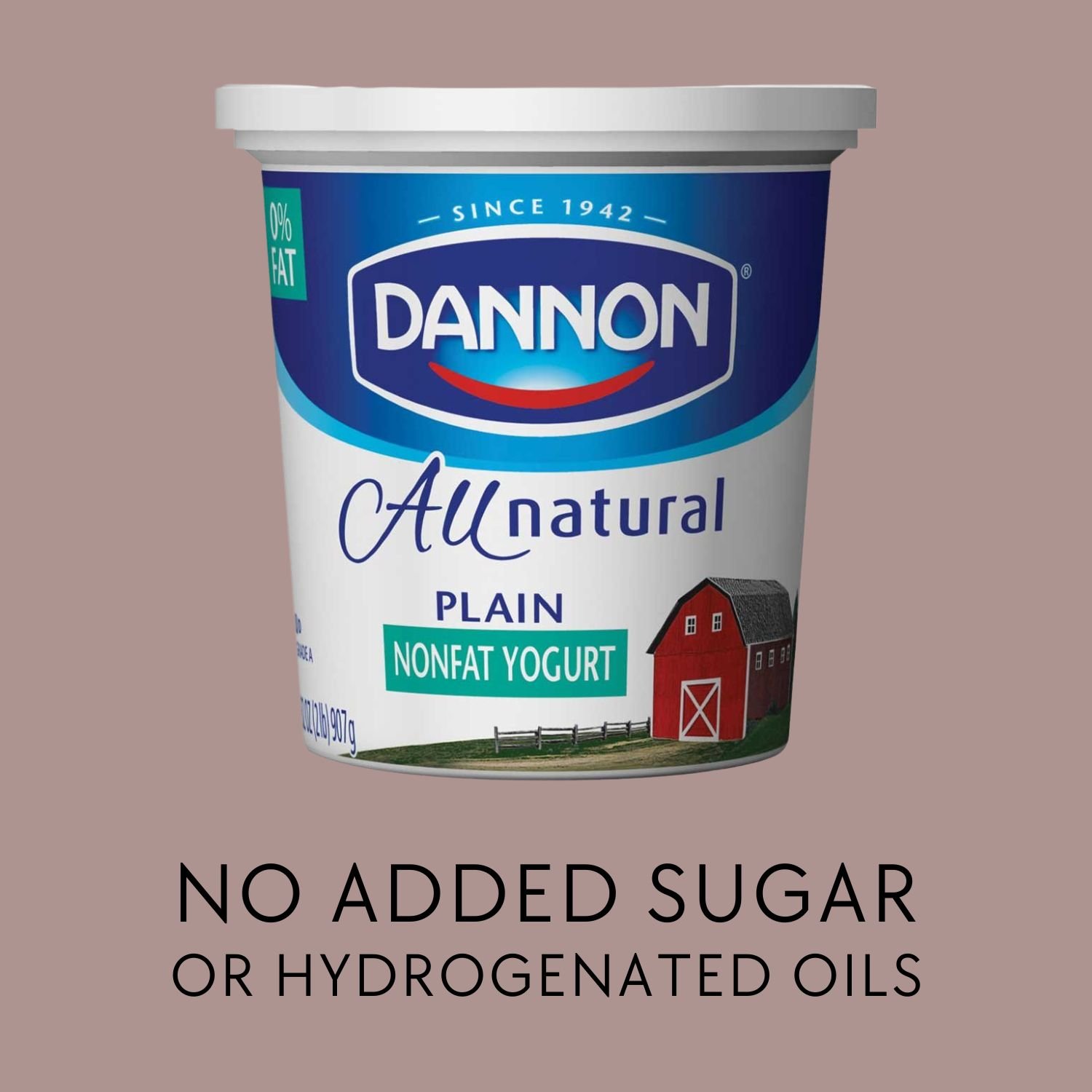Dannon - Greek yogurt - Bedtime Snack  - Malama Health.jpg