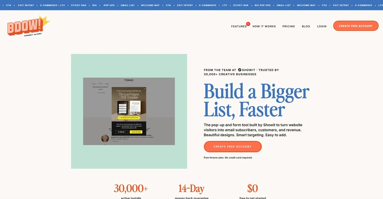 BDOW popup and form builder homepage for growing email lists