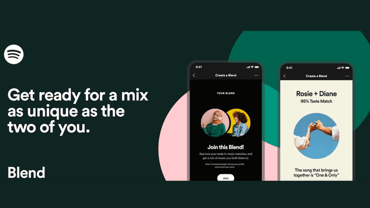 Spotify voice of customer example