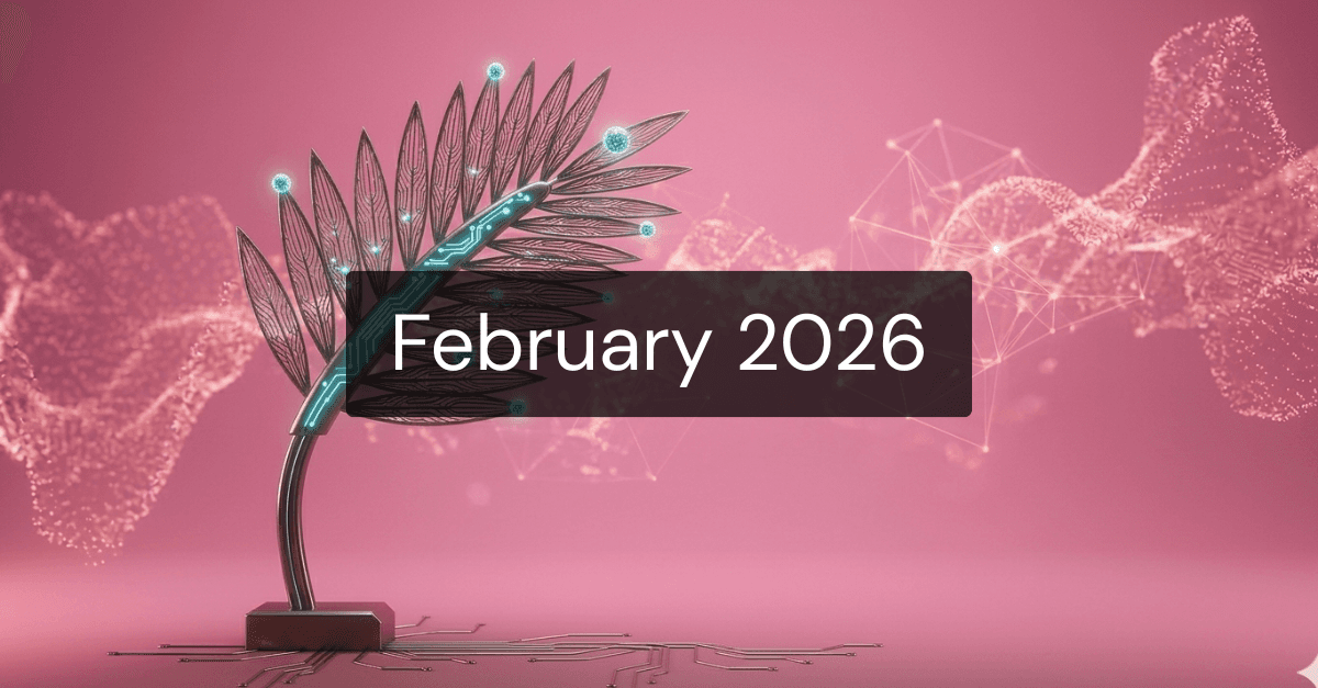 Fund update February 2026