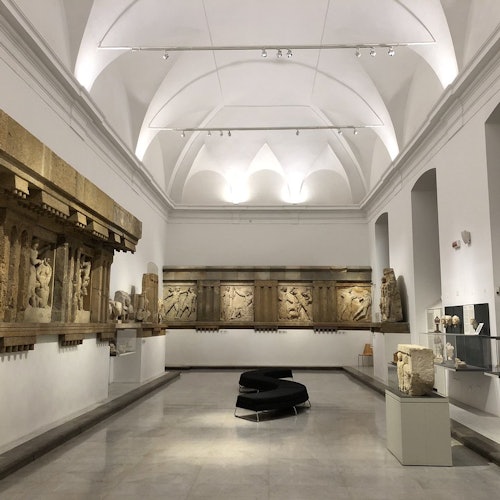 地域考古学博物館アントニーノ・サリーナス：パレルモの入場券