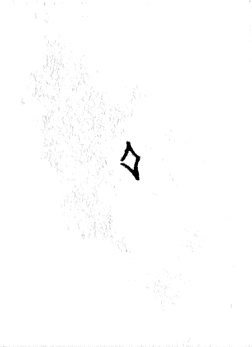 Doodle a mano di Federico De Servi