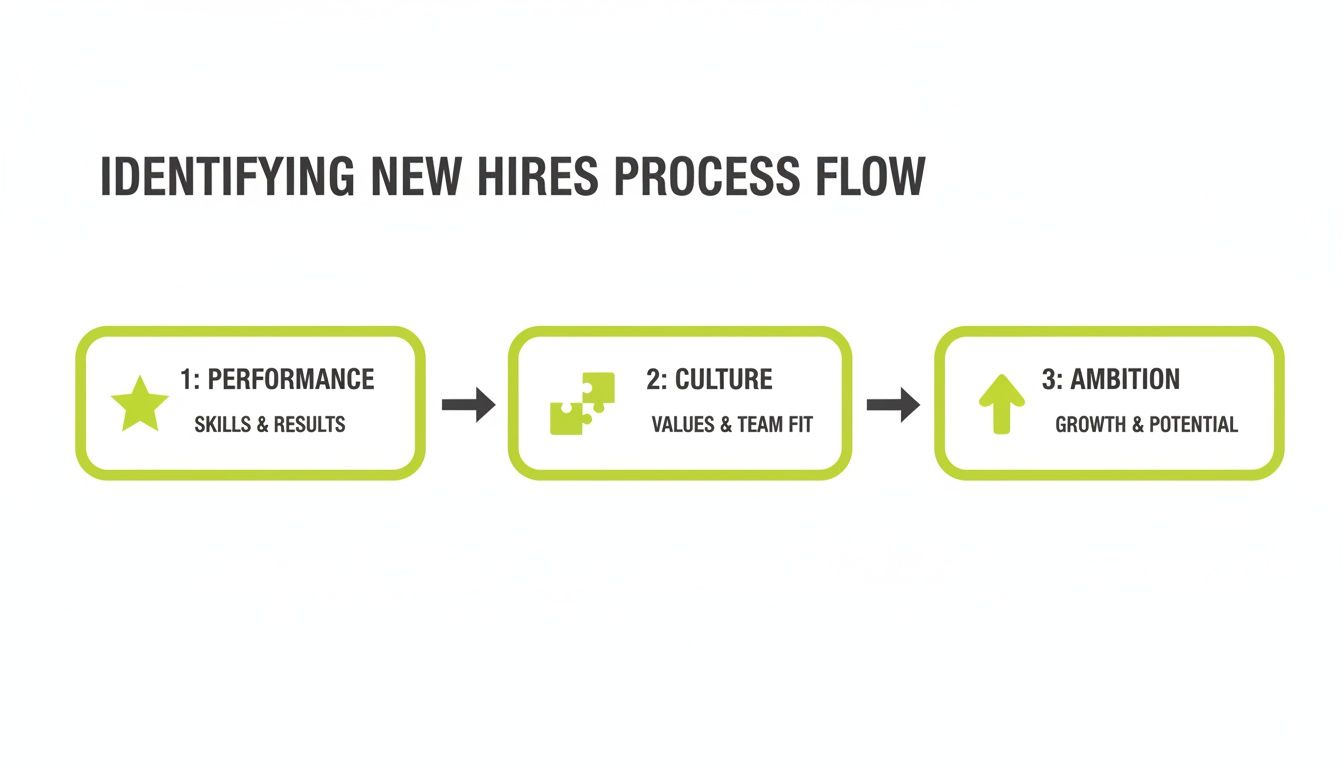 A process flow diagram outlining three steps for identifying new hires: Performance, Culture, and Ambition.