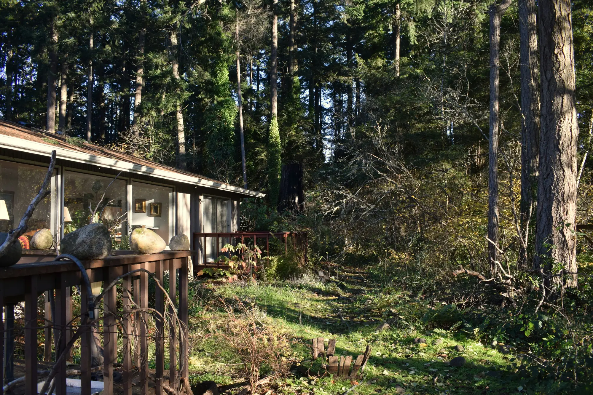 Sunlit wooded backyard beside a home with a covered porch