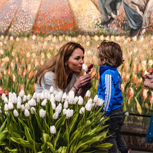 Tulip Experience Amsterdam