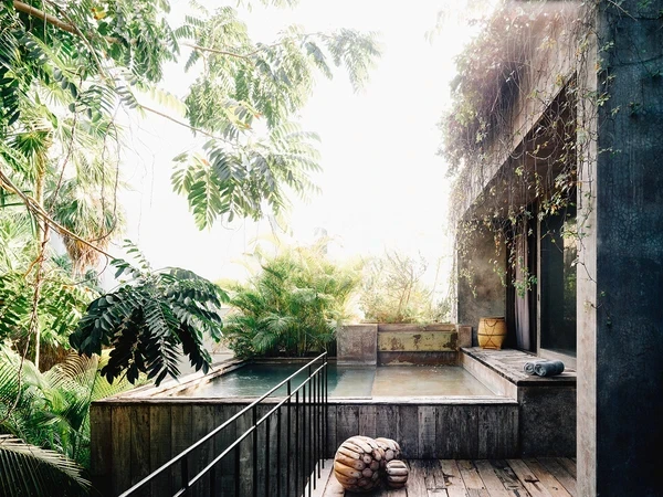 Premier Jungle Suite at Nômade Tulum highlighting private pool with jungle essence.