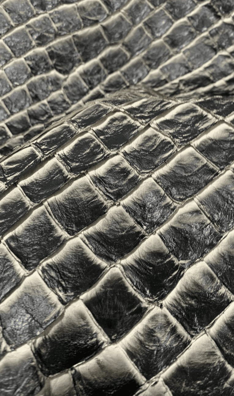 portrait of a woman in suit