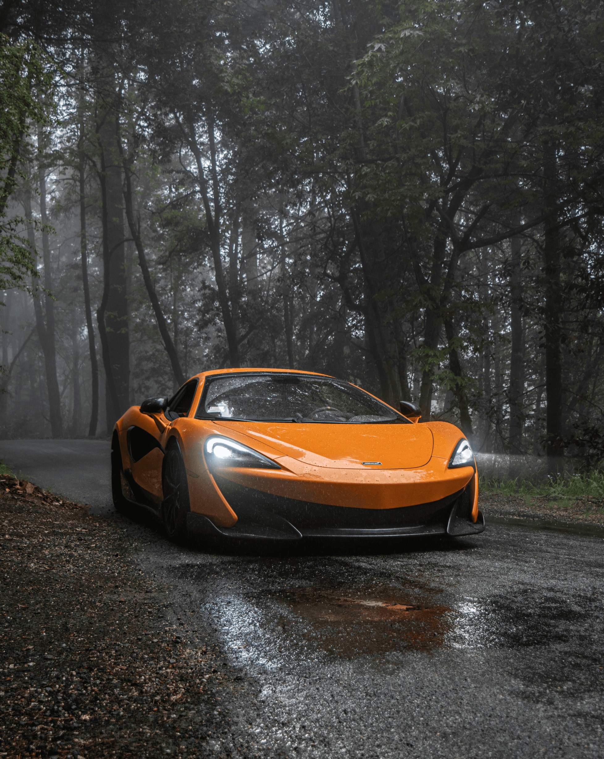 A sleek orange sports car with illuminated headlights navigates a misty, tree-lined road, showcasing its dynamic design and power in a serene forest setting.