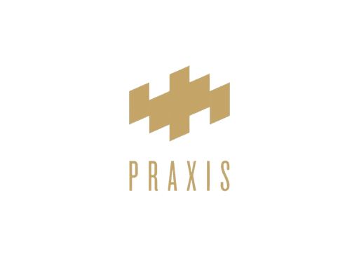 praxis logo