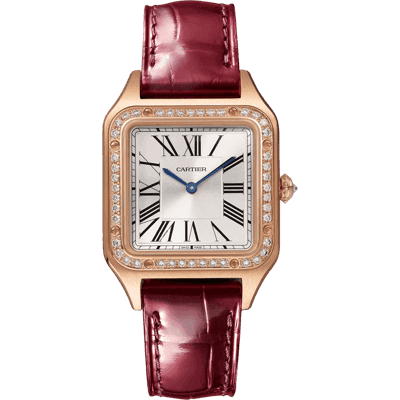 Cartier Santos image 0