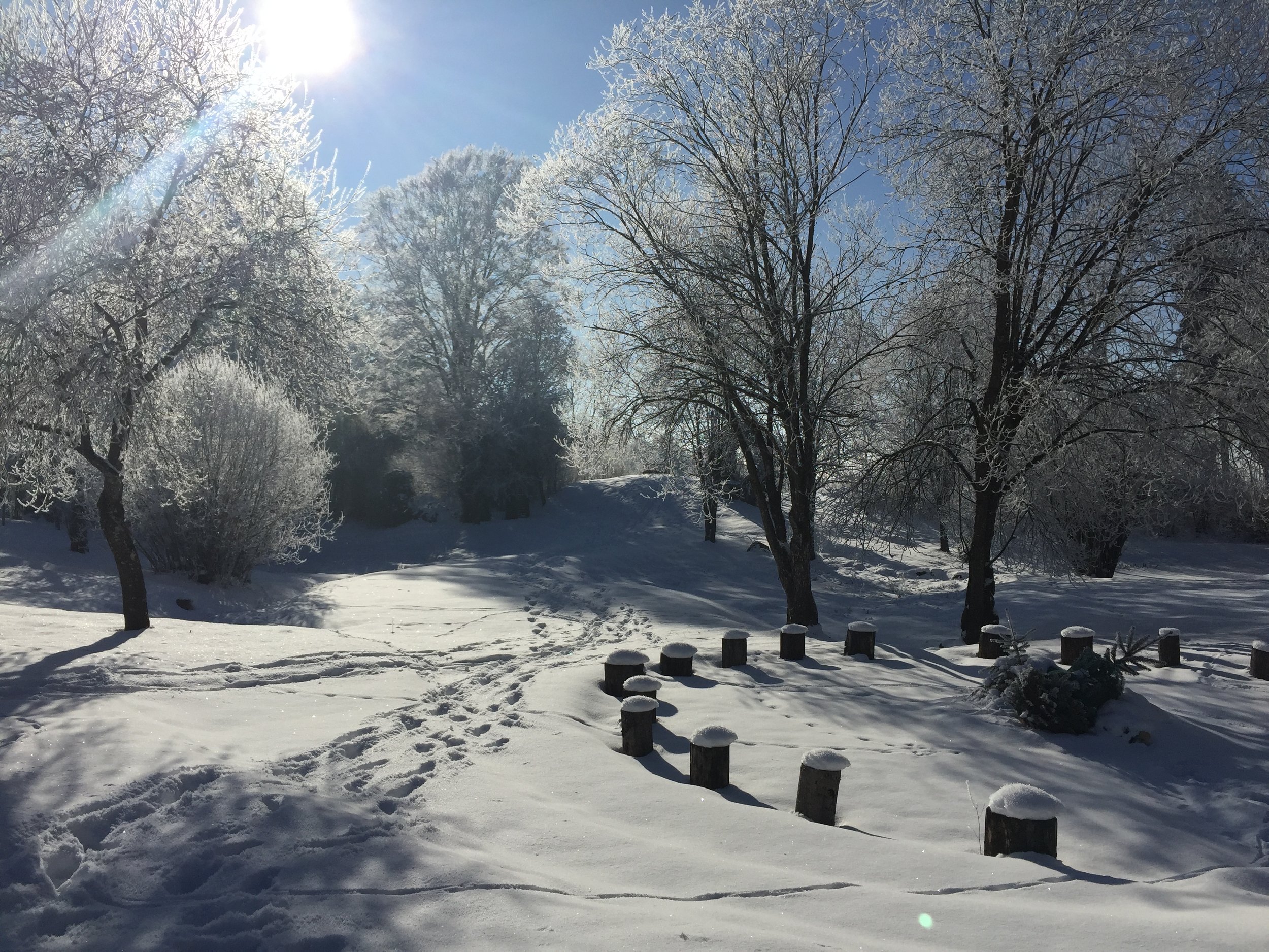 COLLABORATION & BUILD