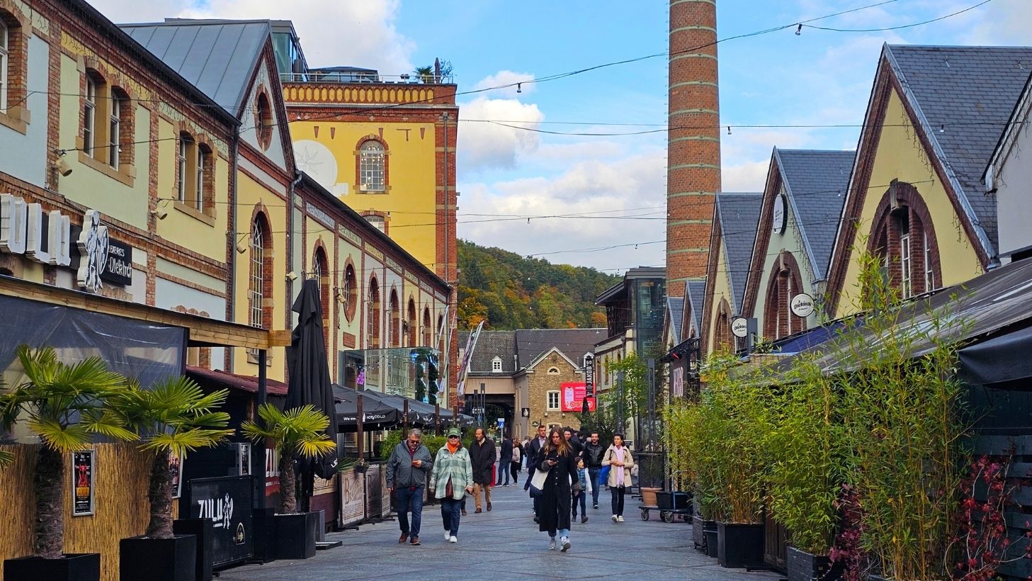 Clausen District: Where History Meets Nightlife