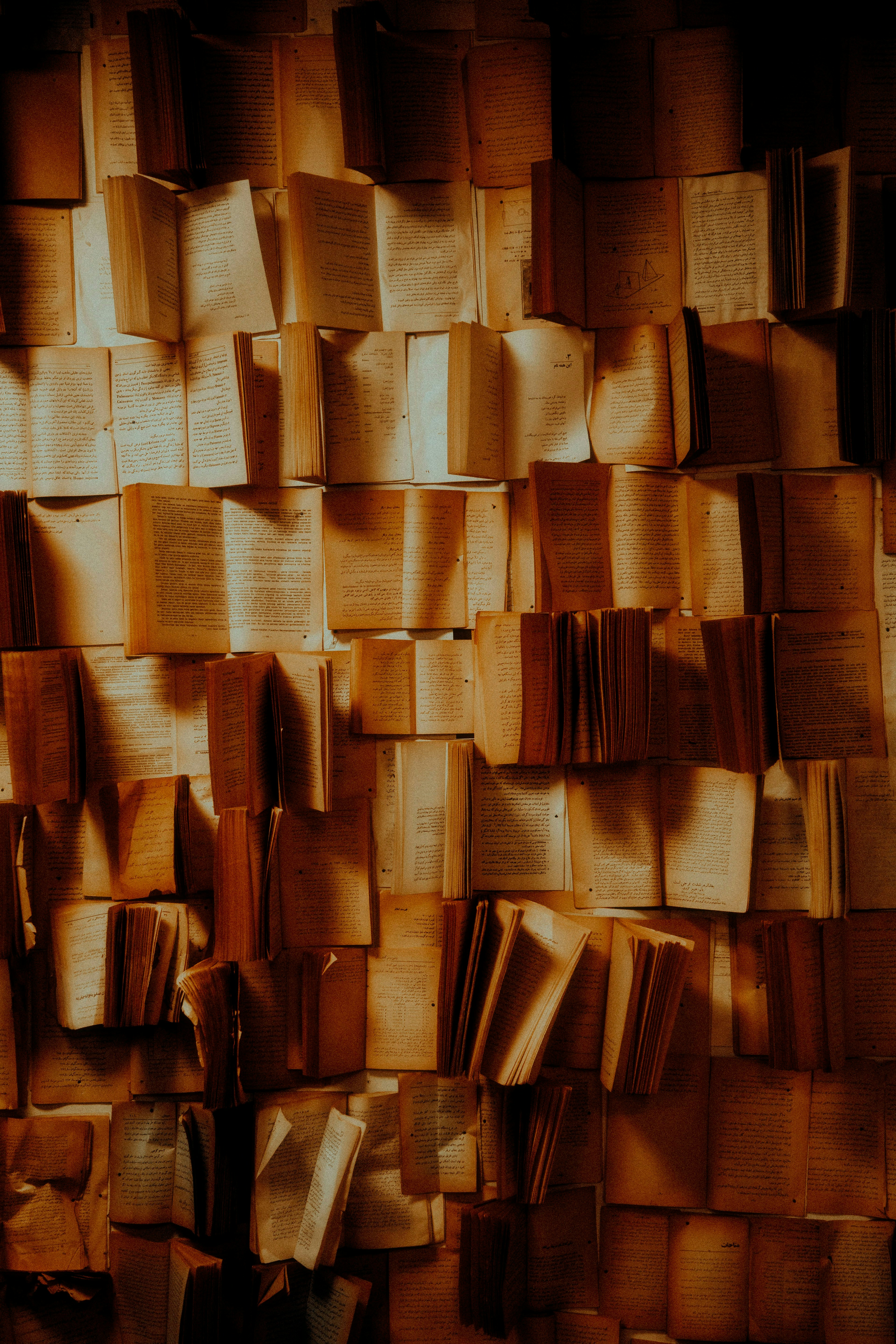 Many open books arranged on a wall with warm lighting