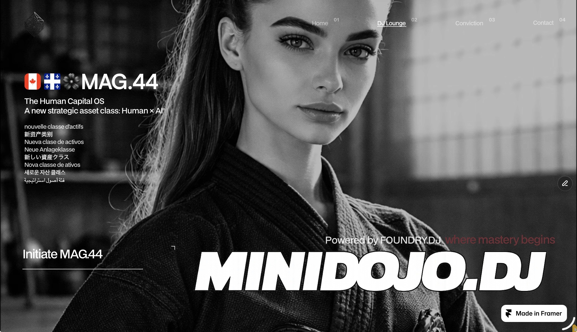 minidojo.dj