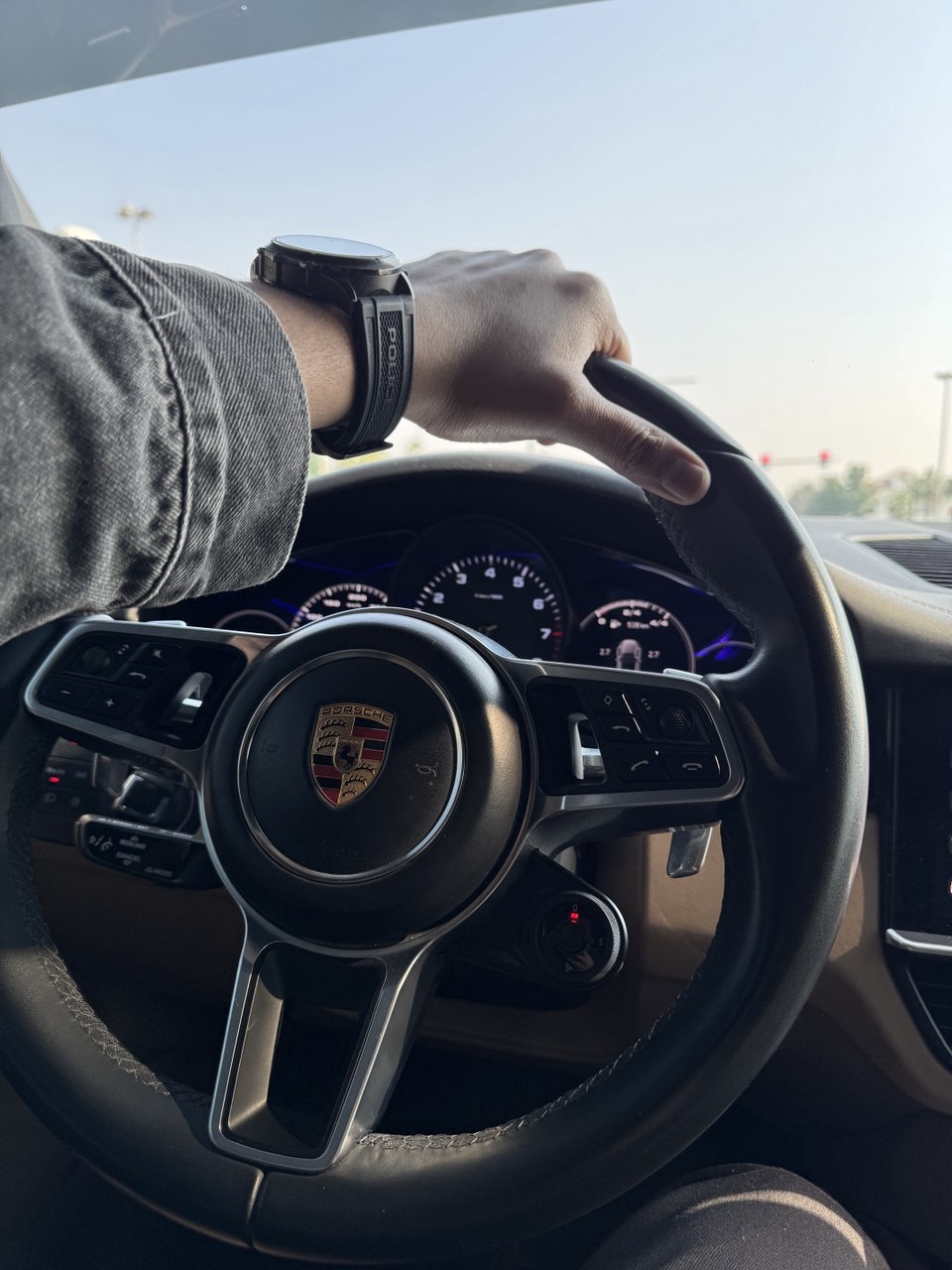 picture of plants and greenery