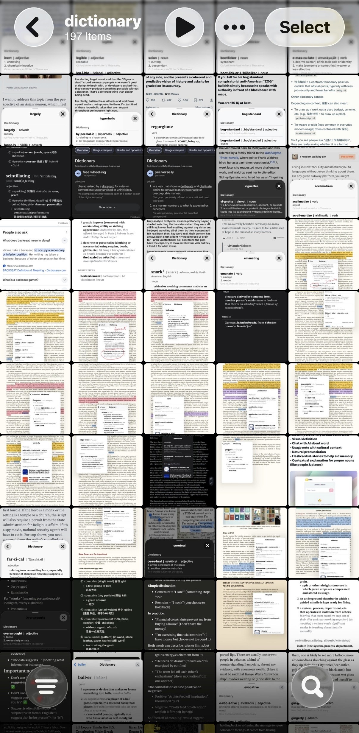 My phone album filled with dictionary screenshots