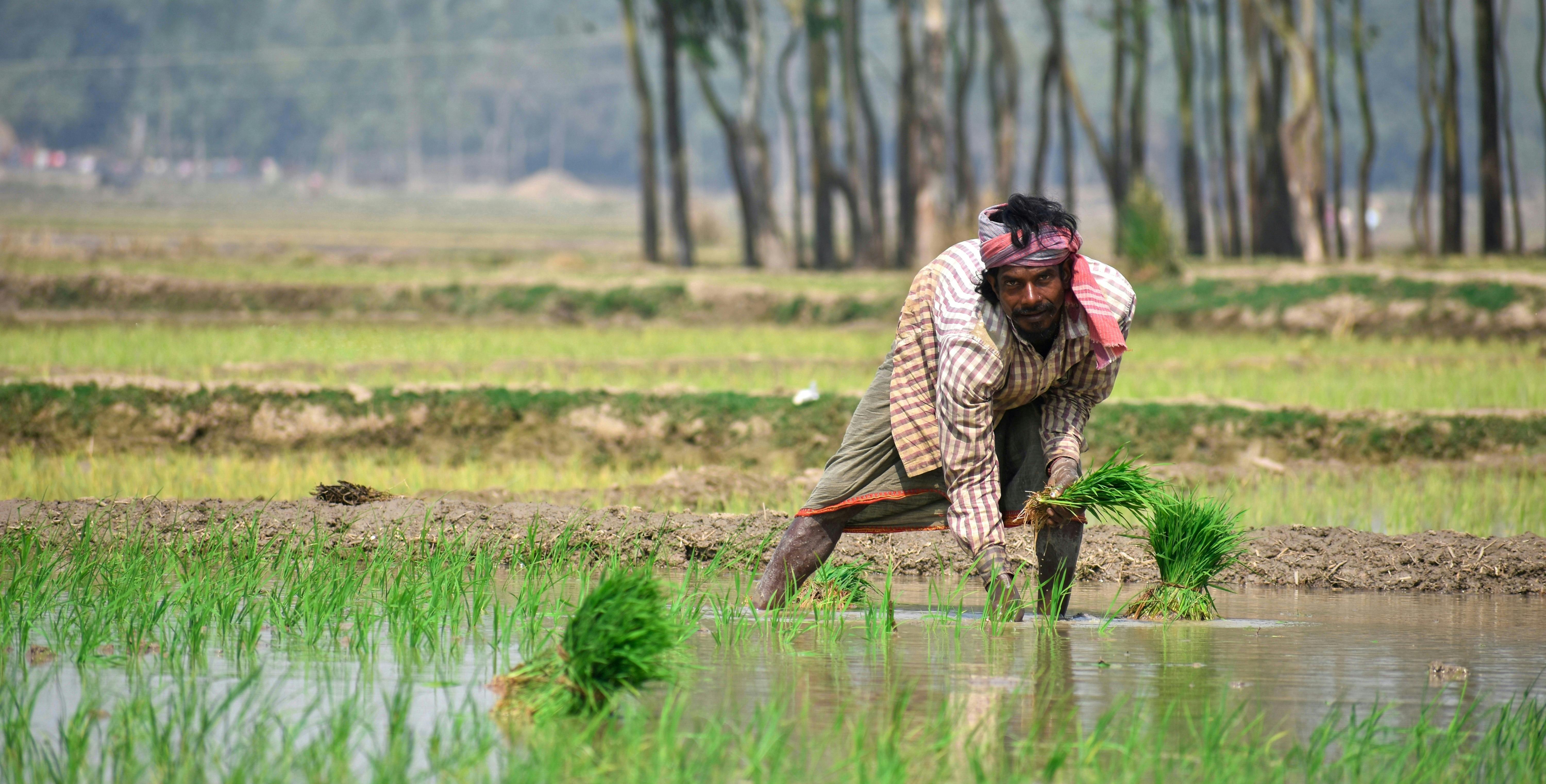 woman smiling with farm harvest