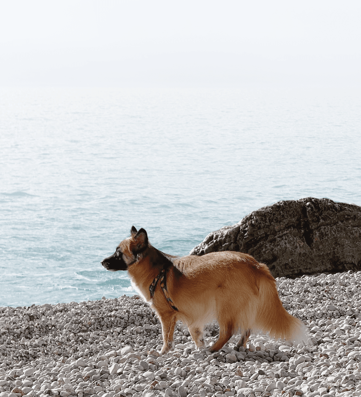 black and white stripe textile