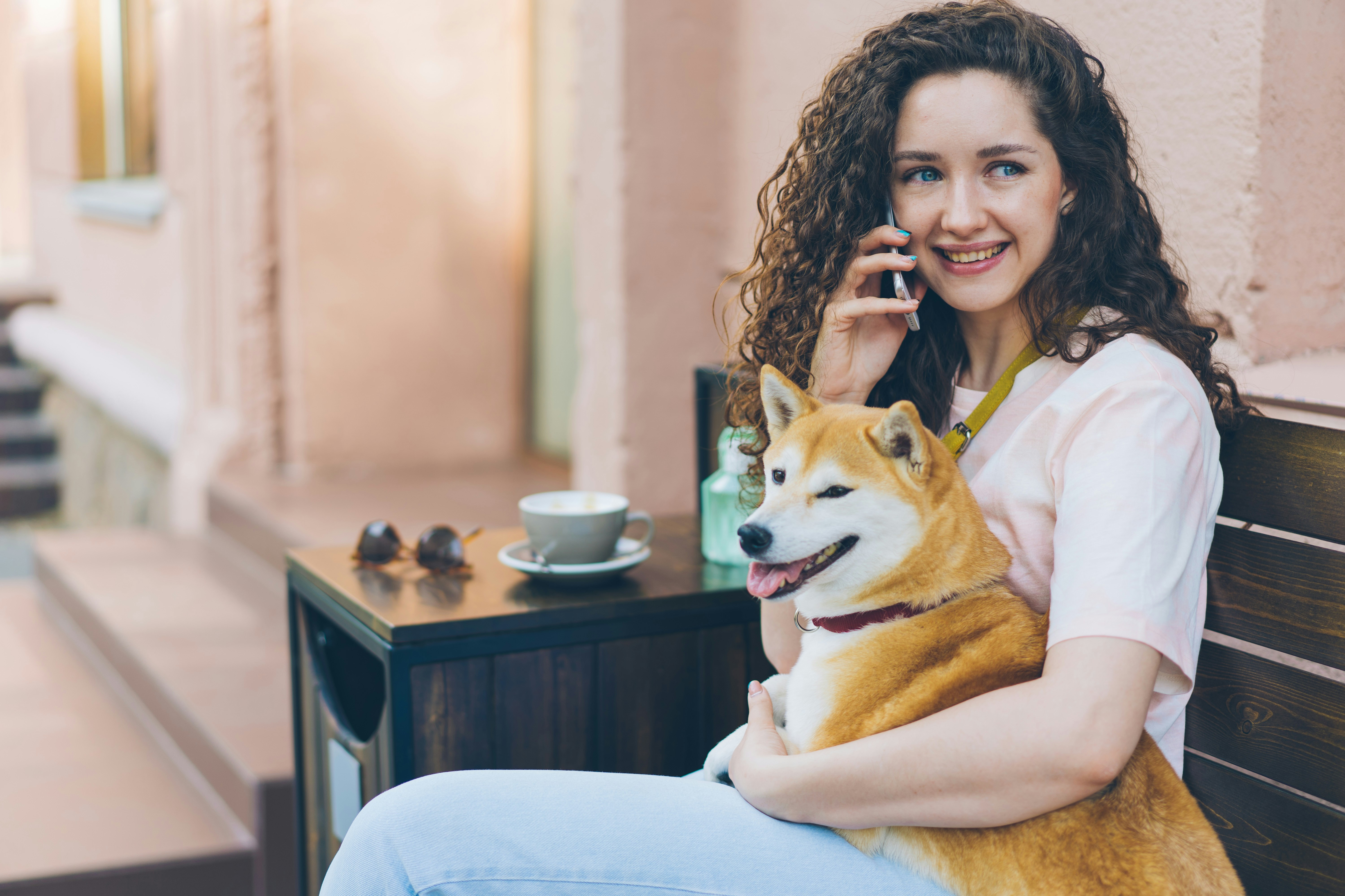 Building a support network for your anxious dog