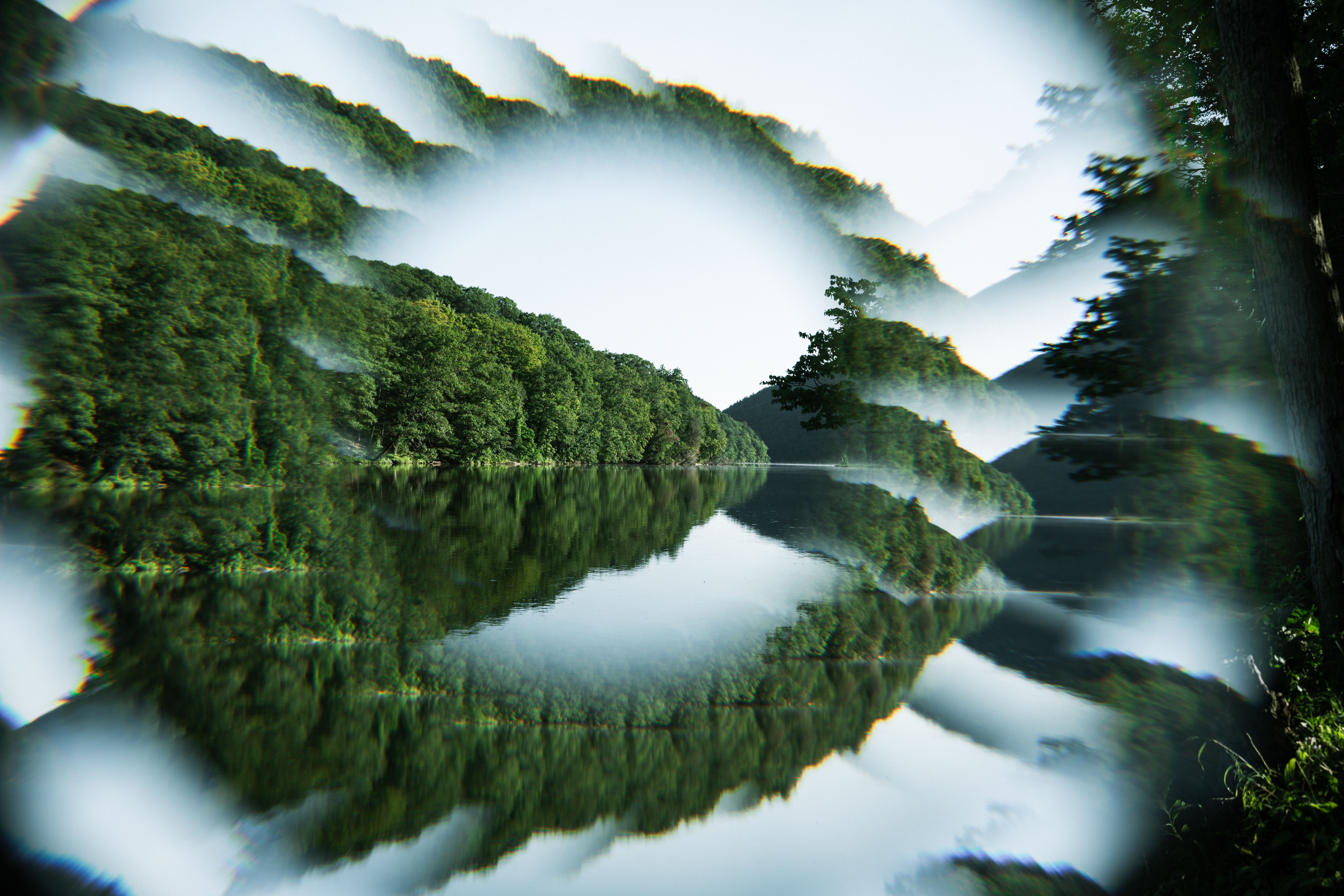 Distorted forest and lake