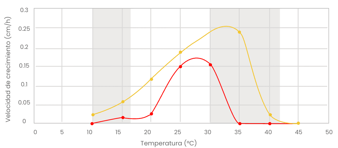 Velocidad de crecimiento a diferentes temperaturas (°C)