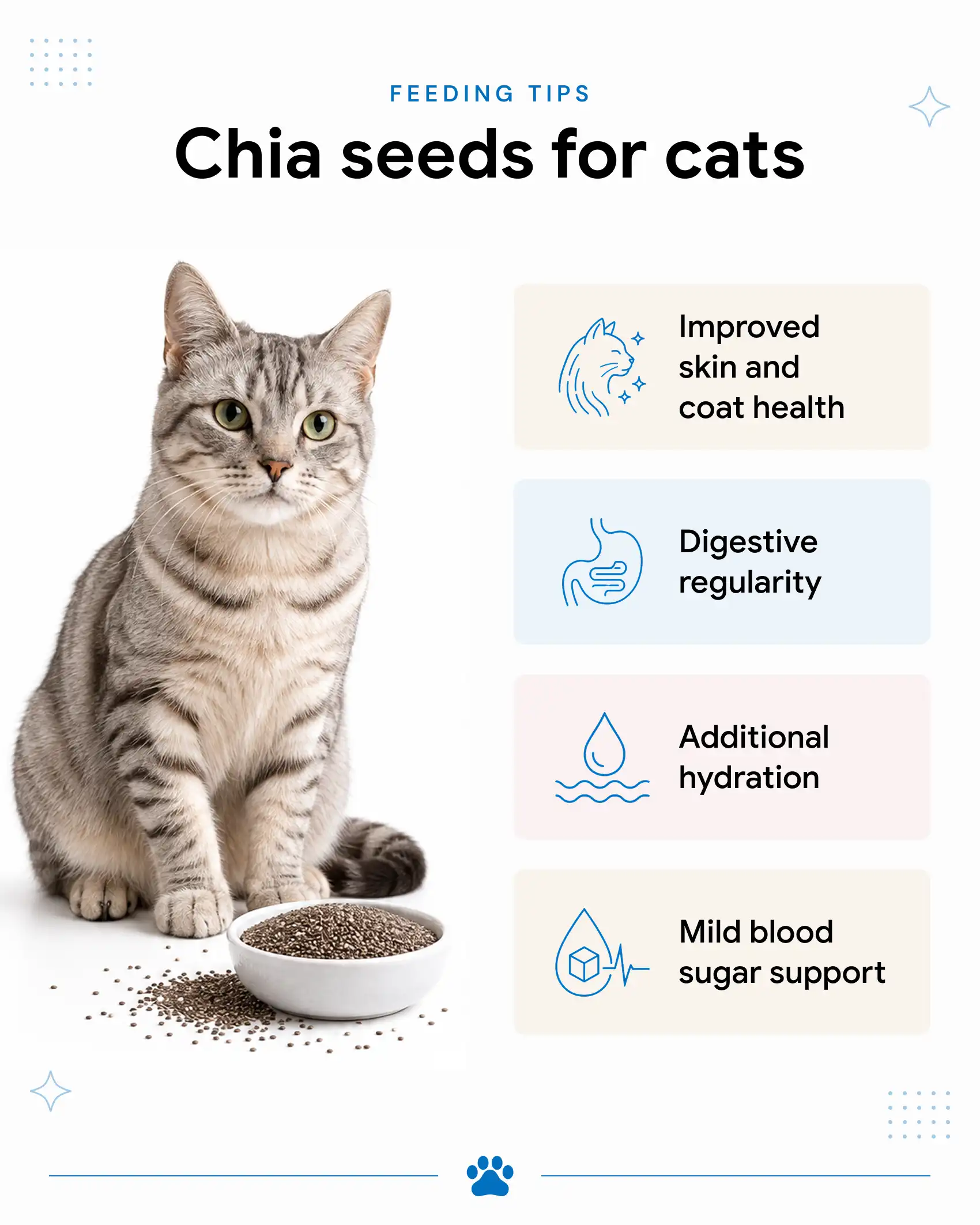 An image showing the benefits of chia seeds for cats.