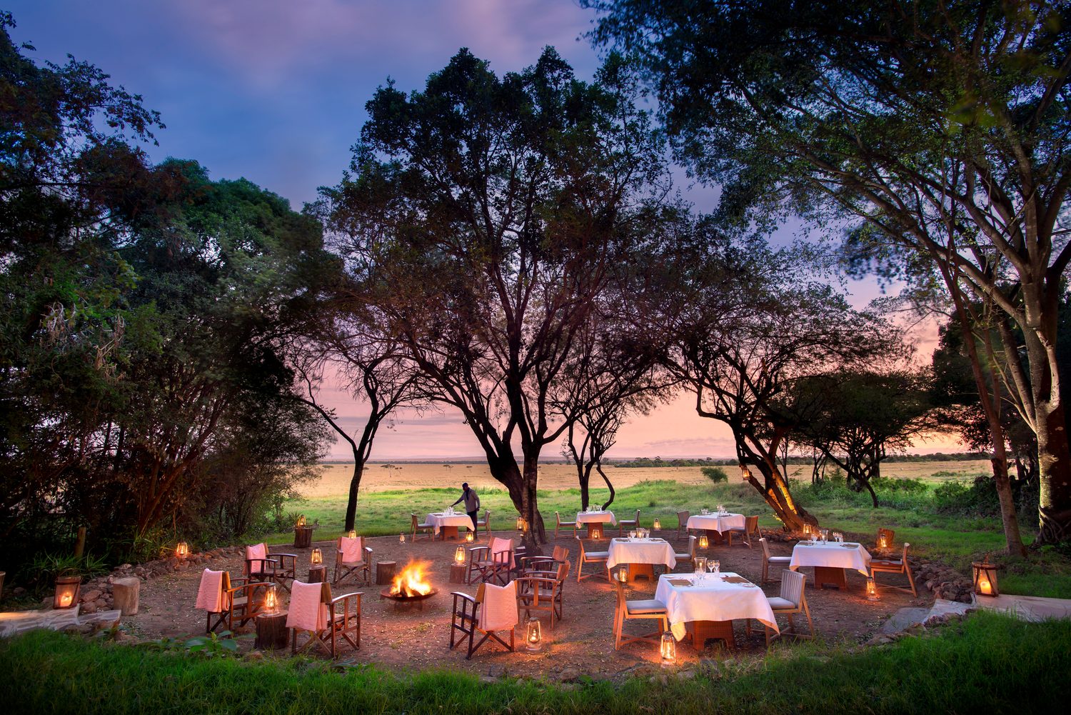 A boma dinner beneath the trees, lanterns lit at blue hour