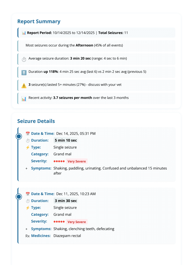 PDF report preview