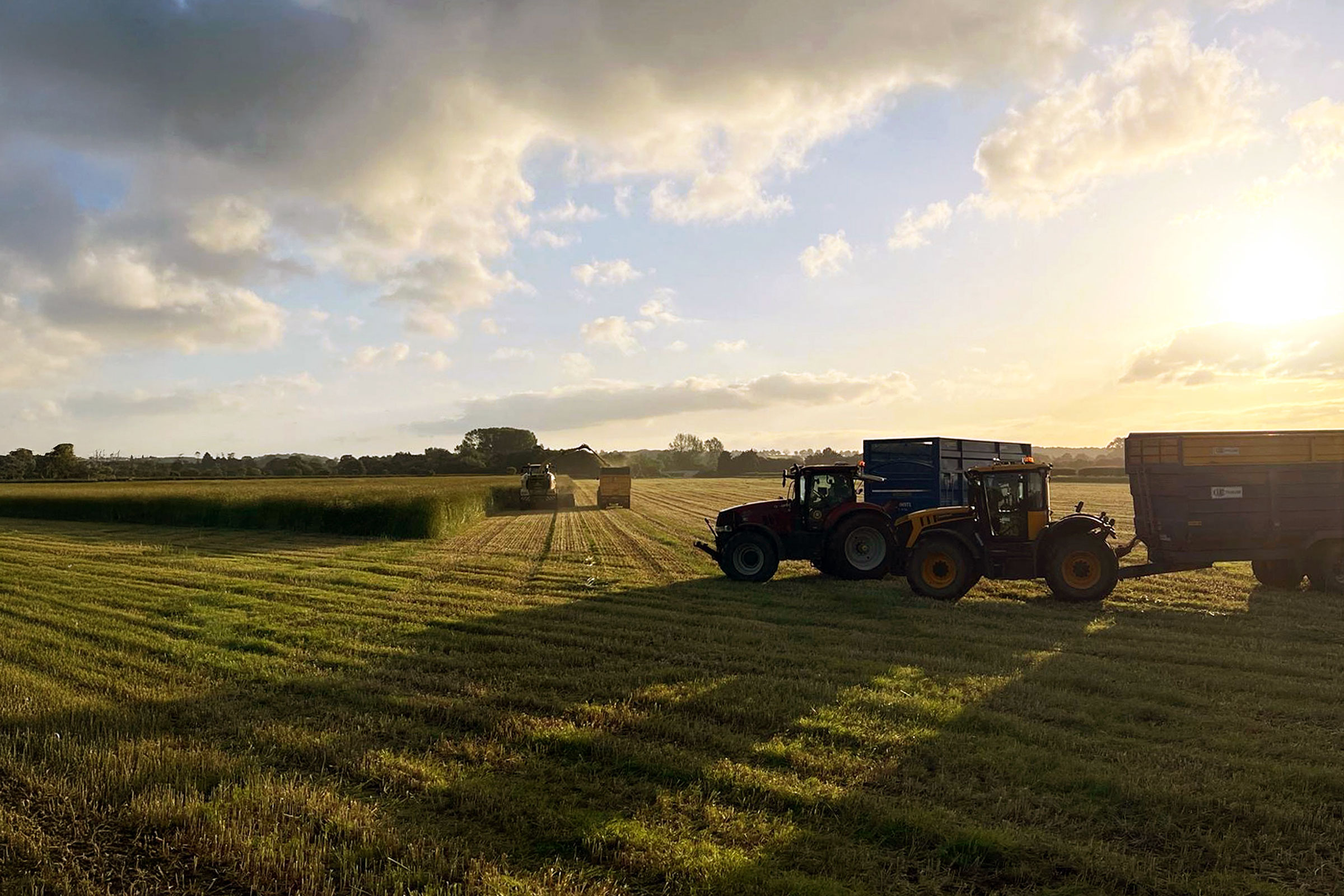Red tractor with trailer harvesting hay bales in a golden field at sunset with dramatic cloudy sky