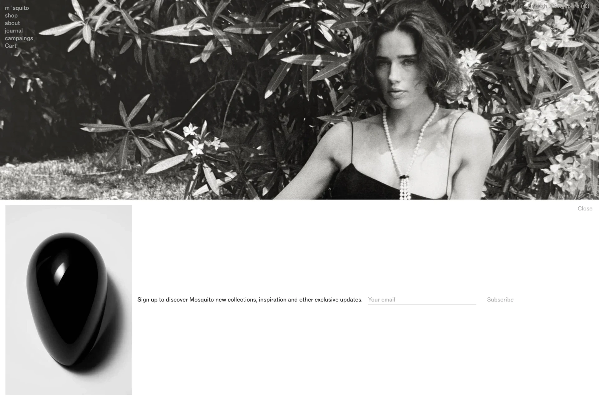 Screenshot of Mosquito website