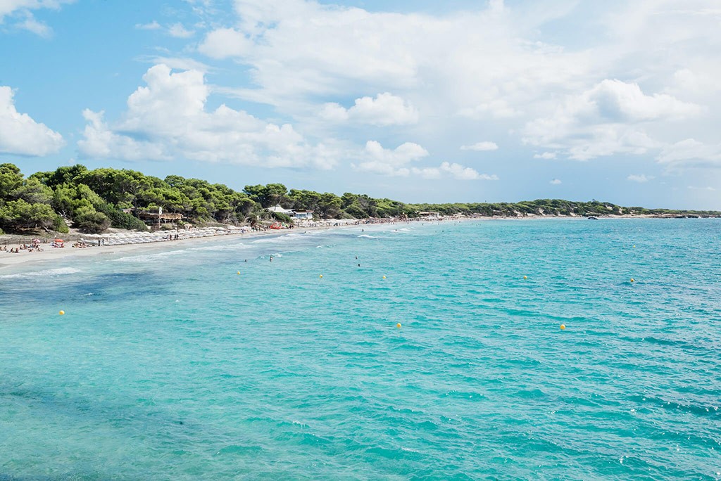 Las Salinas in Ibiza close to Luxury Villa Can Nemo