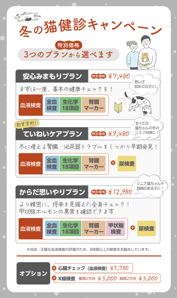 冬の猫健康診断キャンペーン（安心みまもりプラン7,480円、ていねいケアプラン9,480円、からだ思いやりプラン12,980円、オプション検査あり）