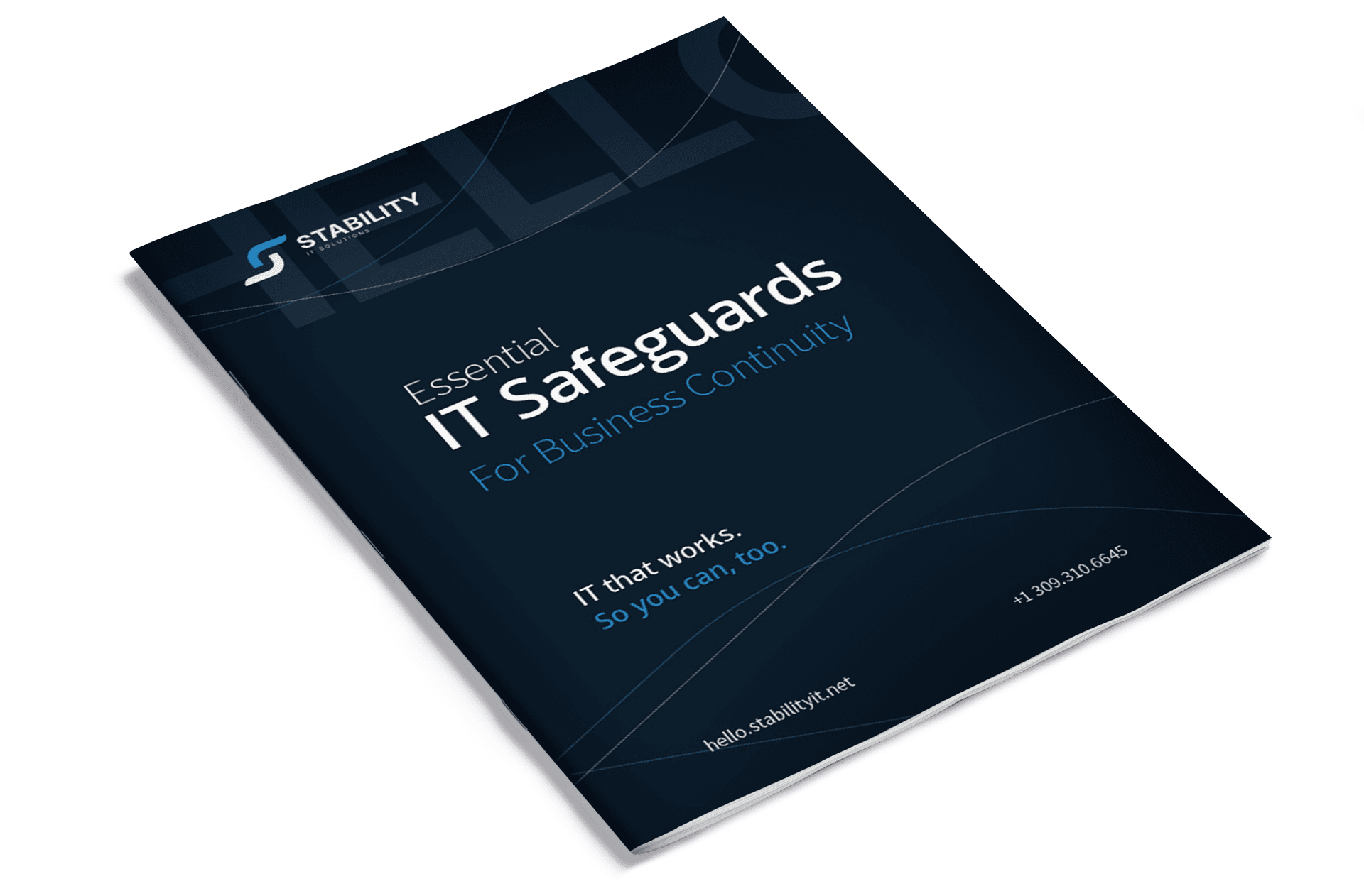 Essential IT Safeguards PDF