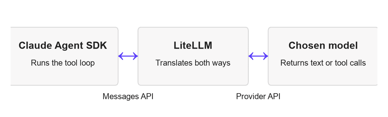Claude Agent SDK connecting to other models through the Messages API and LiteLLM