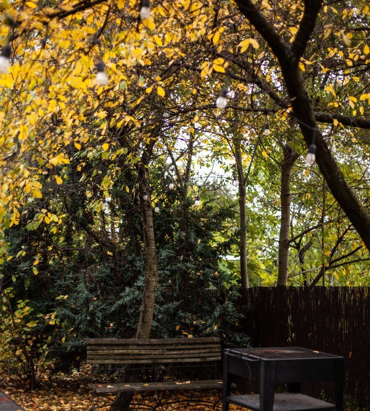 Jesienny ogród w Hotelu Villa Stara Apteka w Srebrnej Górze