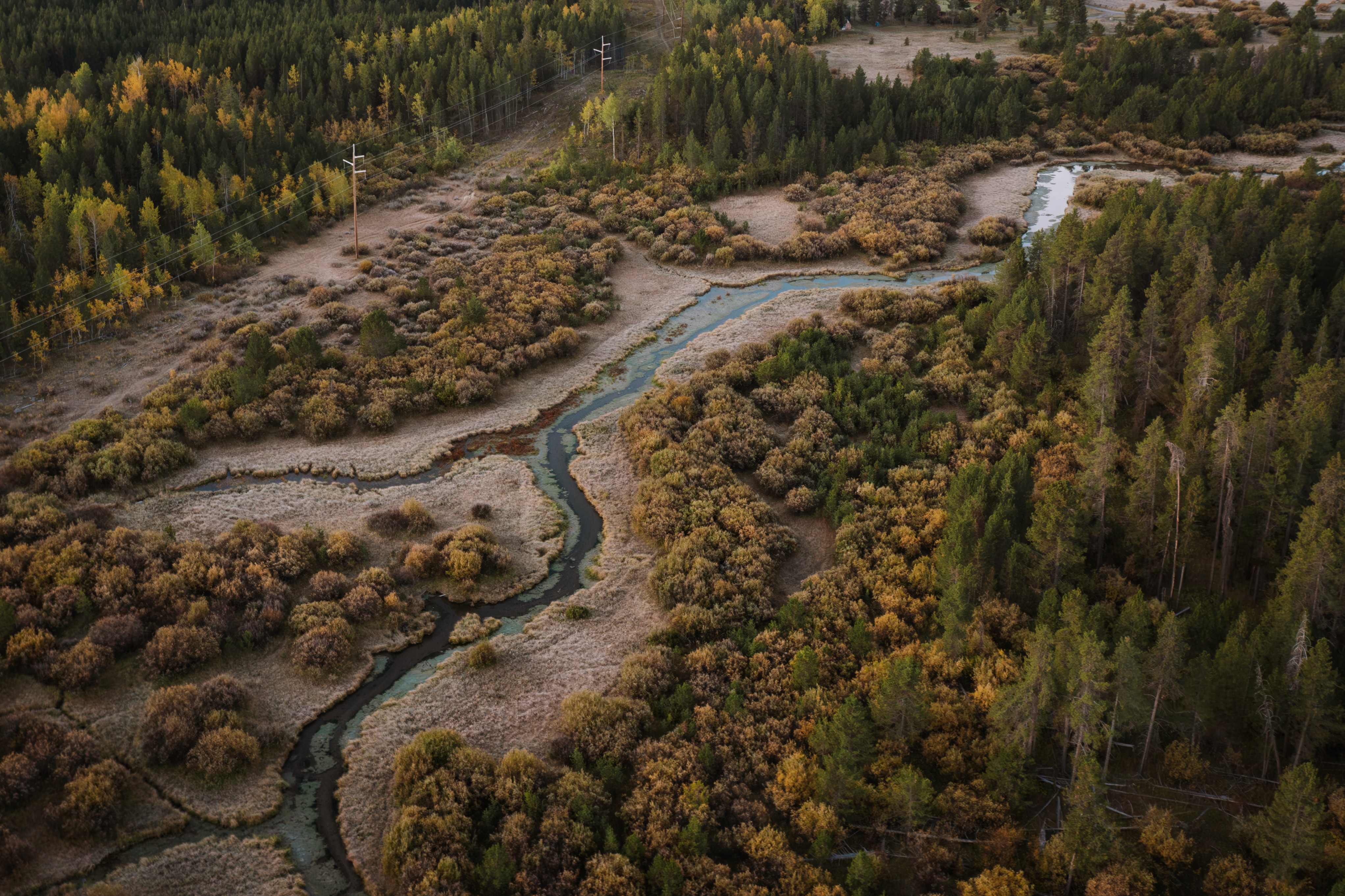 river surrounded by trees during daytime