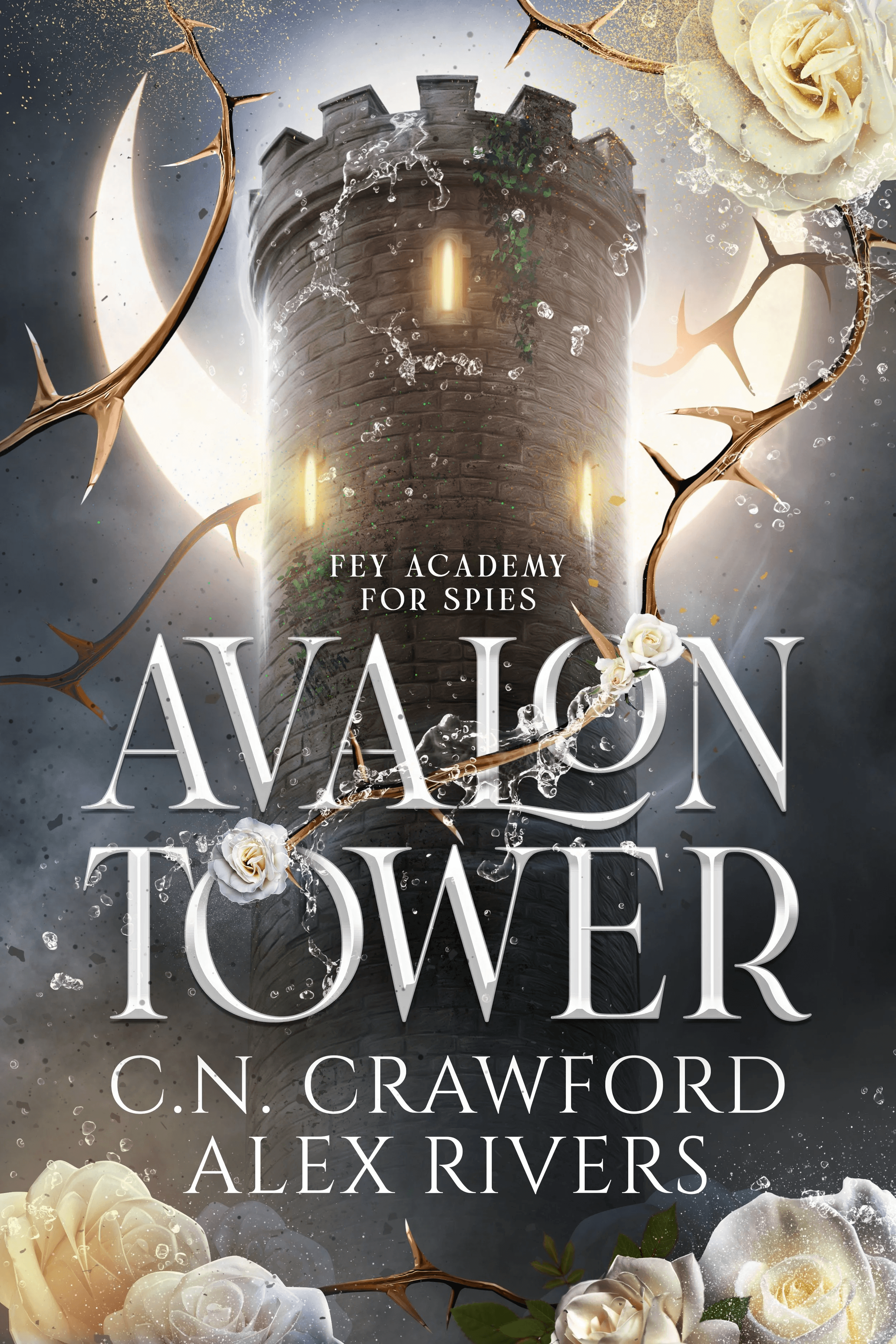 Fey Academy for Spies
