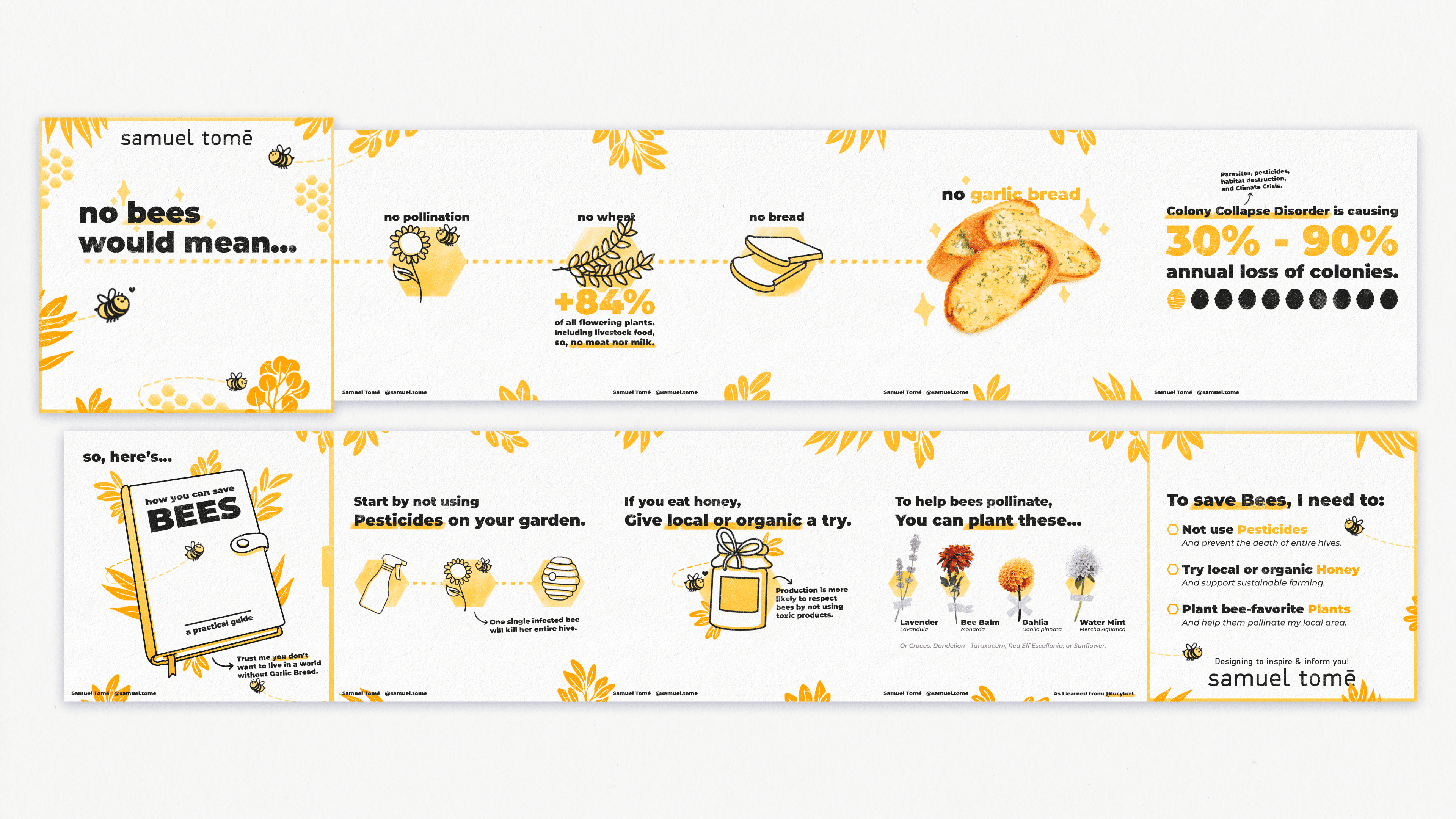 How to help and save the Bees, Instagram Post. By Samuel Tomé, Designer & Game Developer