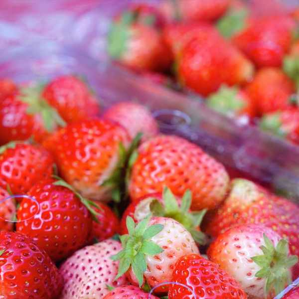 A Green Future: What Can We Do about Plastic Packaging?
