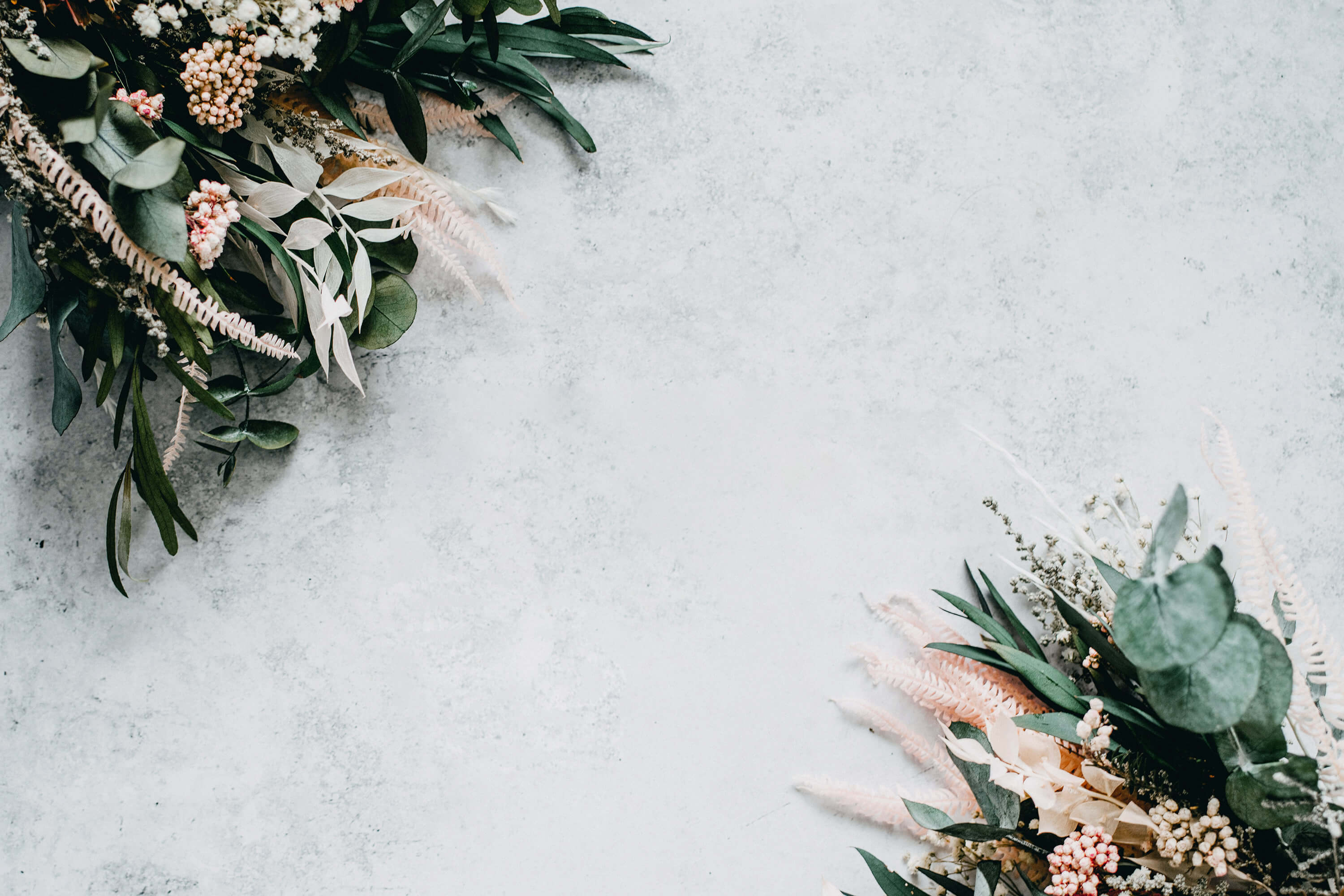 Delicate green foliage and pink flowers.