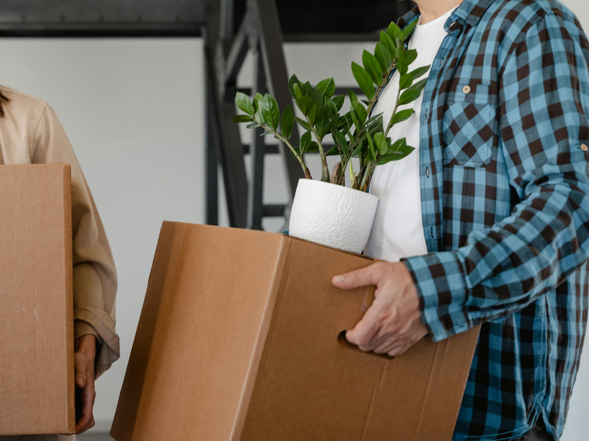 A person in a blue plaid shirt carries a cardboard moving box with a small potted ZZ plant on top. Another person is partially visible on the left holding a box.