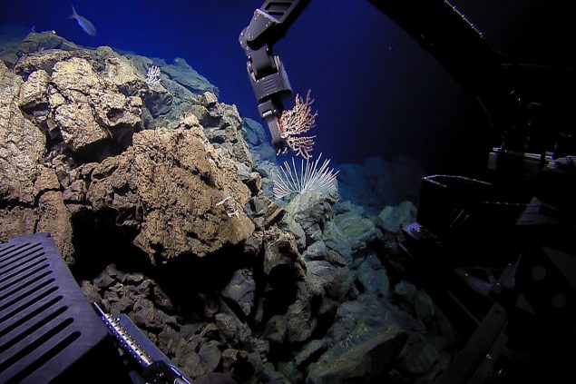 View from Deep Discoverer's cameras of a robotic manipulator sampling coral on a rocky deep-sea outcrop