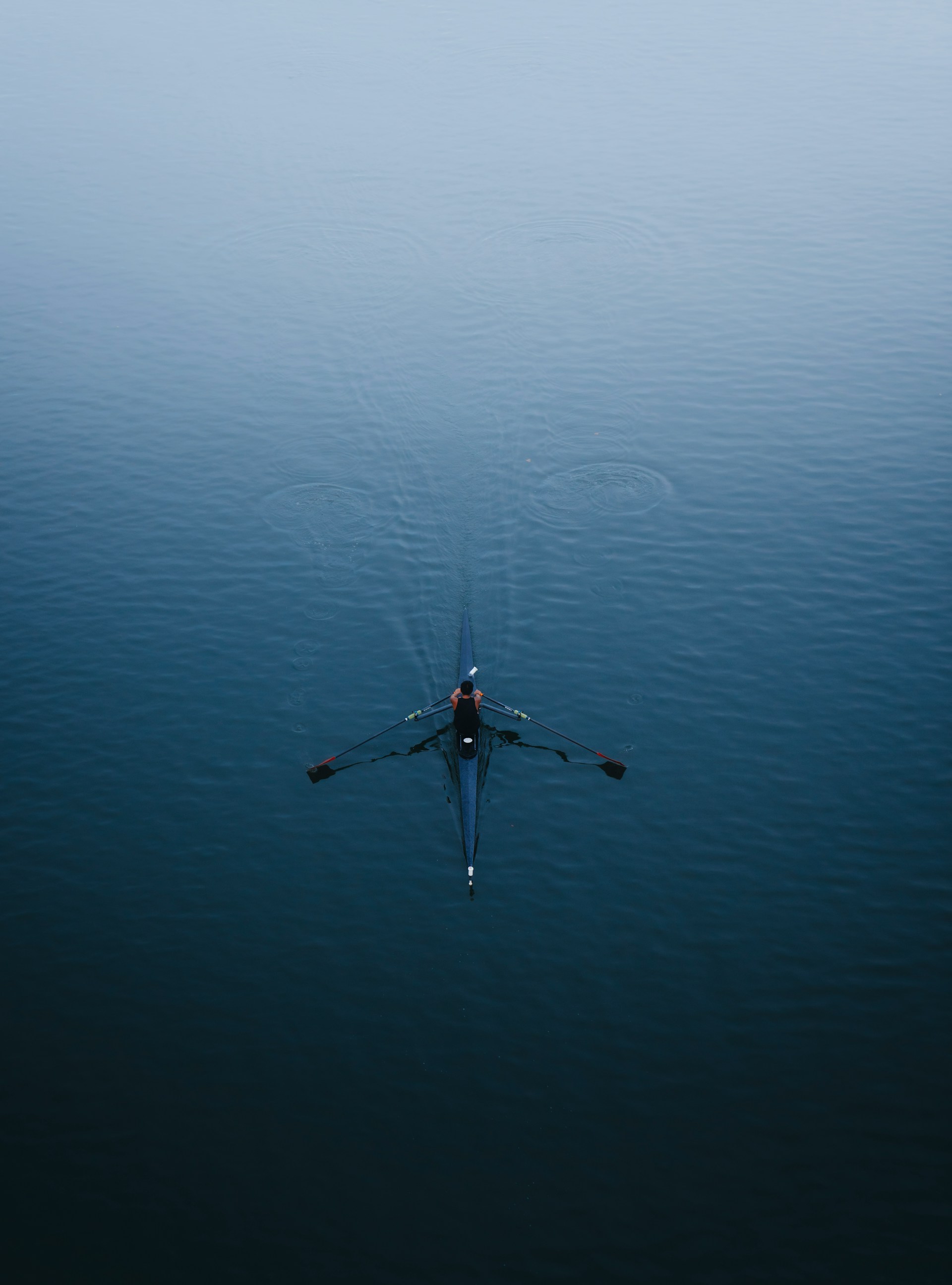 Soft pink flower with delicate petals in motion blur against a white background