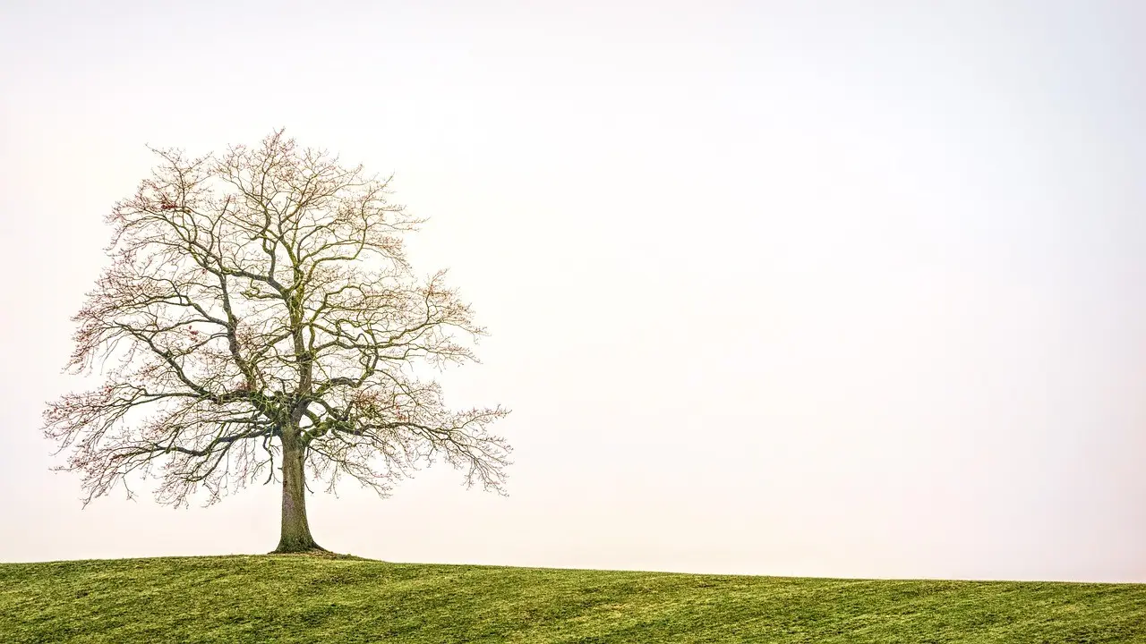 Comedy Tour Launches This Fall — entertainment banner