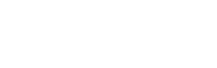 The SecOps Group logo