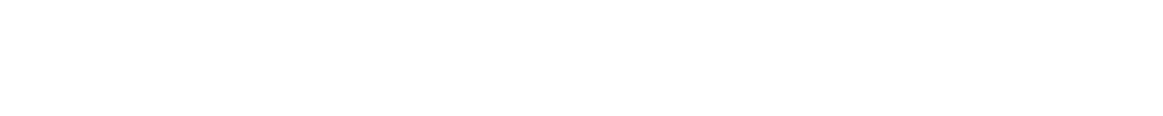 logo white bridge pdf